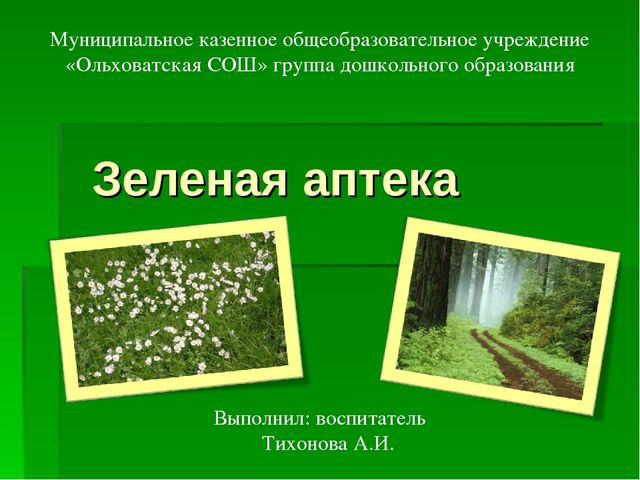 Презентация на тему "Зеленая Аптека"