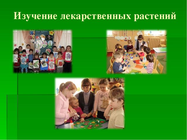 Презентация на тему "Зеленая Аптека"