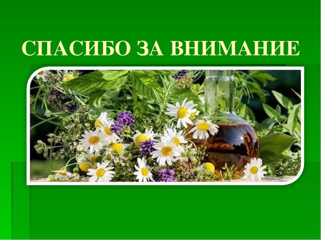 Презентация на тему "Зеленая Аптека"