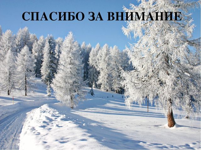 Презентация познавательного развлечения на тему Зимние забавы"