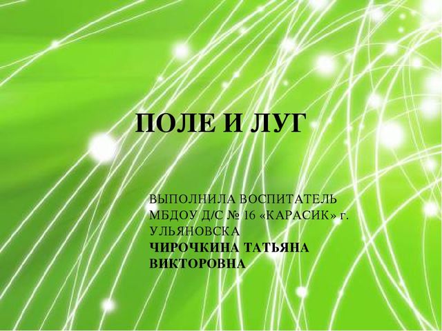 Презентация по ознакомлению с окружающим миром природы на тему "Луг и поле" (подготовительная группа)