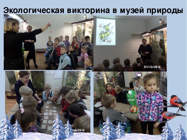 Фотоотчёт по акции "Кормушка для пичужки"