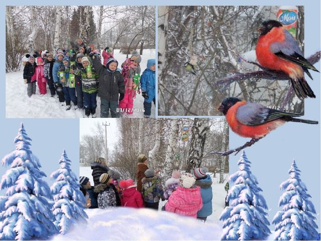 Фотоотчёт по акции "Кормушка для пичужки"