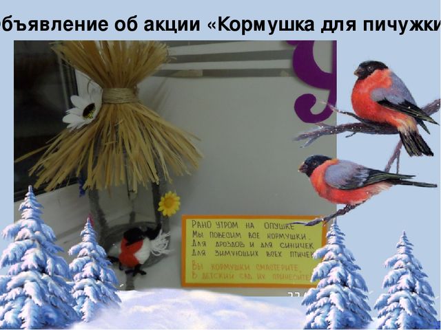 Фотоотчёт по акции "Кормушка для пичужки"