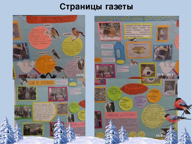 Фотоотчёт по акции "Кормушка для пичужки"