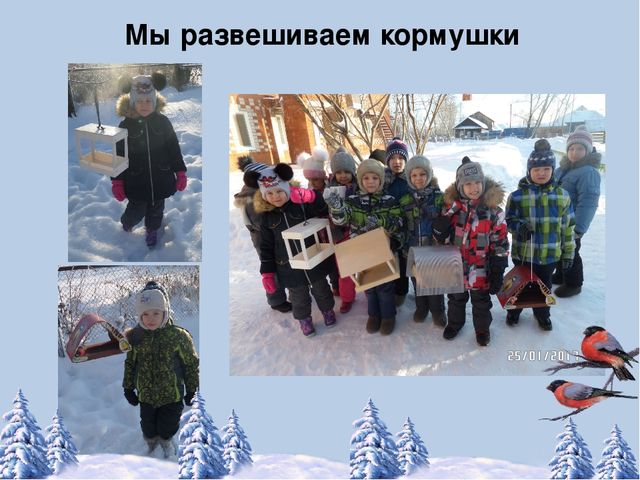Фотоотчёт по акции "Кормушка для пичужки"