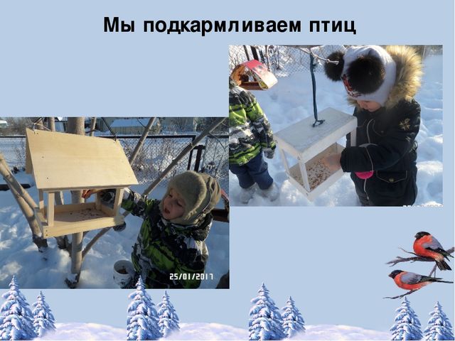 Фотоотчёт по акции "Кормушка для пичужки"