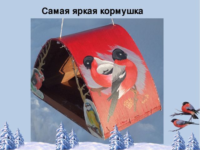 Фотоотчёт по акции "Кормушка для пичужки"