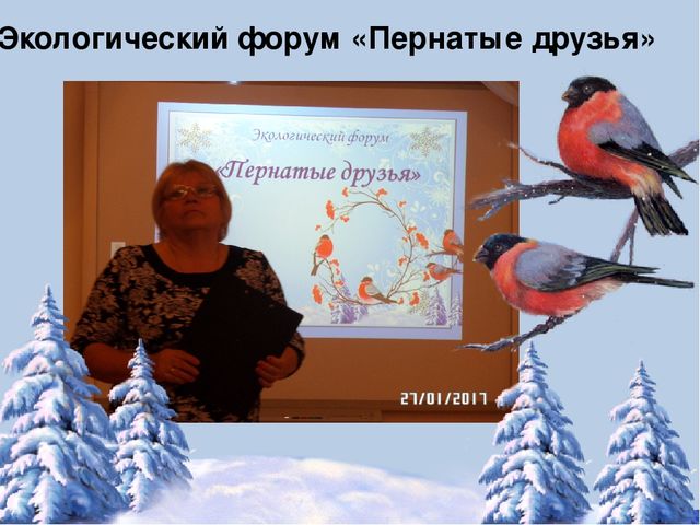 Фотоотчёт по акции "Кормушка для пичужки"