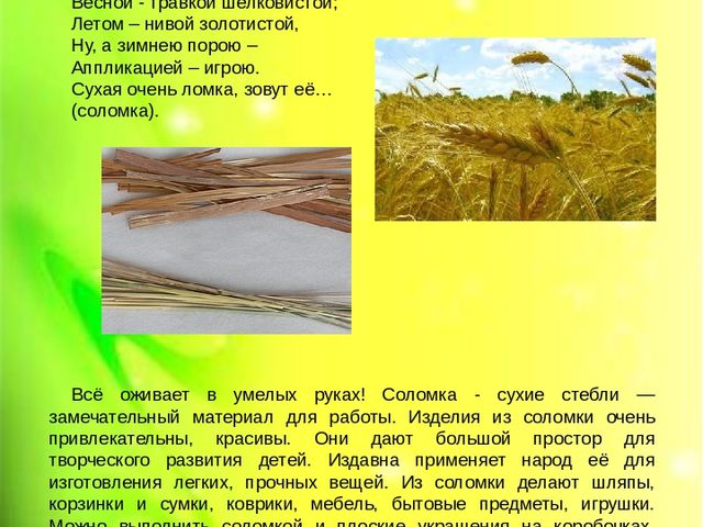 Комбинированная аппликация из соломки и бересты (подготовительная группа)