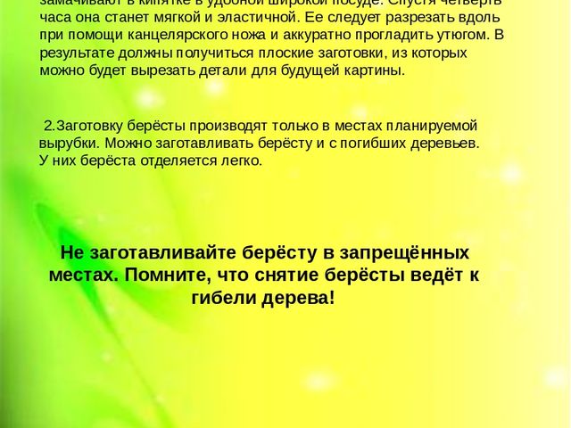 Комбинированная аппликация из соломки и бересты (подготовительная группа)