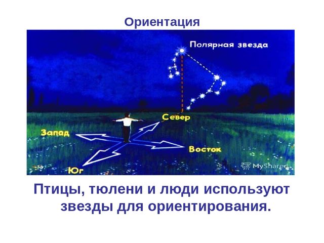 Презентация по развитию речи на тему "Неизвестное и самое интересное о космосе"