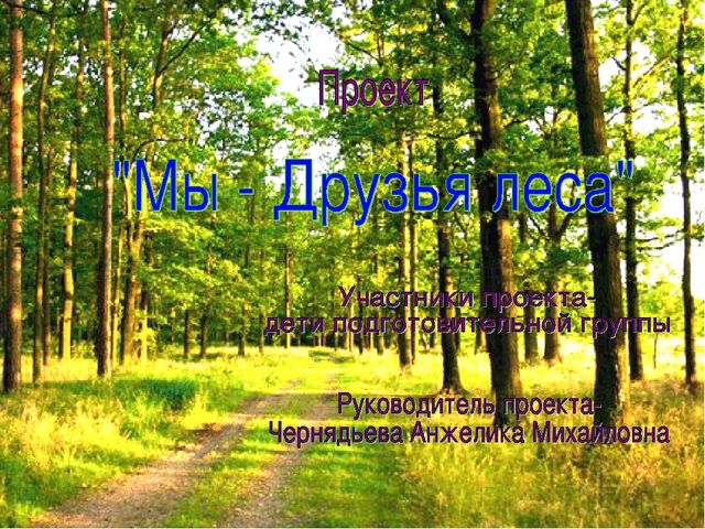 Проект по экологическому воспитанию "Мы-Друзья леса" (Подготовительная группа)