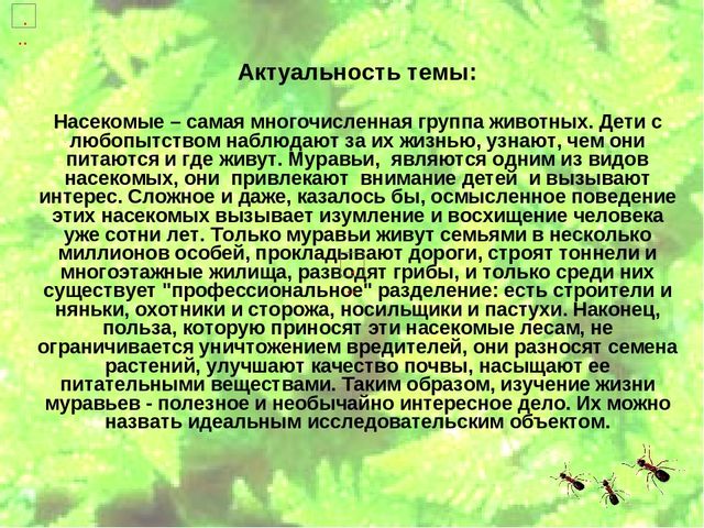 Проект по экологическому воспитанию "Мы-Друзья леса" (Подготовительная группа)