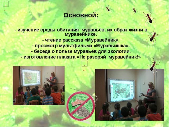 Проект по экологическому воспитанию "Мы-Друзья леса" (Подготовительная группа)