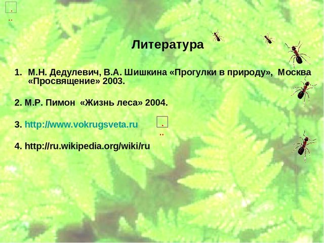 Проект по экологическому воспитанию "Мы-Друзья леса" (Подготовительная группа)