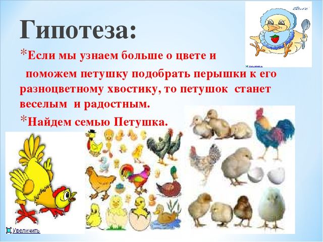 Презентация проекта "Петушок и курочка Ряба"