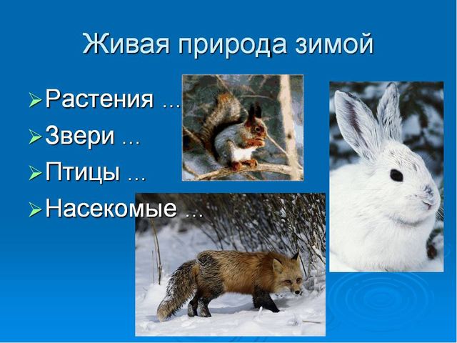 Презентация на тему"Живаяприрода зимой"