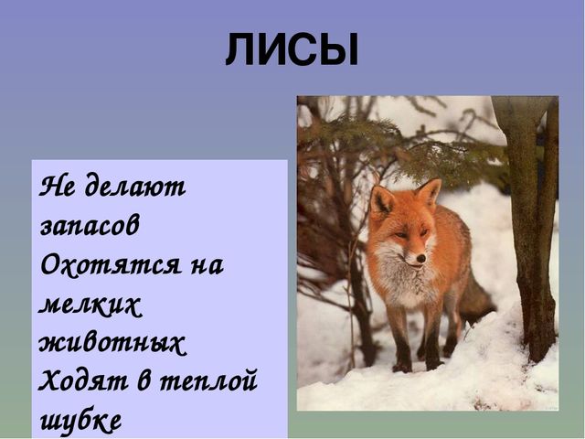 Презентация на тему"Живаяприрода зимой"