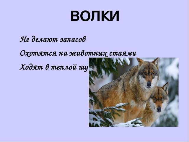 Презентация на тему"Живаяприрода зимой"