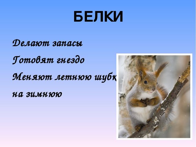 Презентация на тему"Живаяприрода зимой"