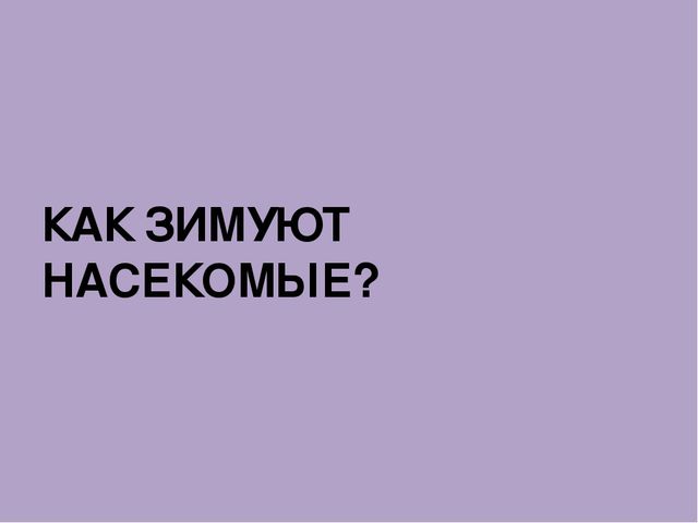 Презентация на тему"Живаяприрода зимой"