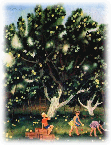 Picture 7