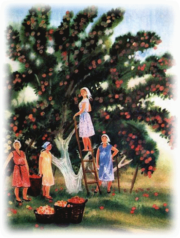 Picture 8
