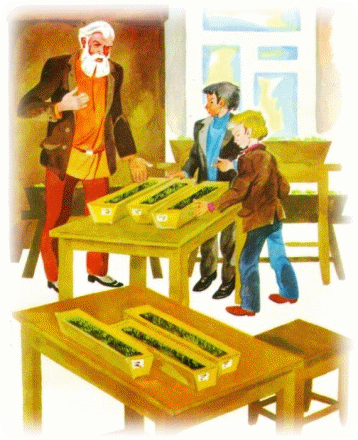 Picture 28