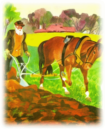 Picture 31