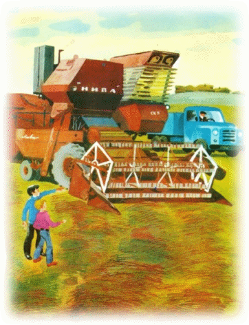 Picture 40