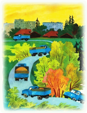 Picture 43