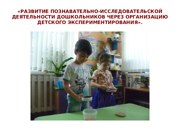 Презентация «Развитие познавательно исследовательской деятельности через организацию детского экспериментирования
