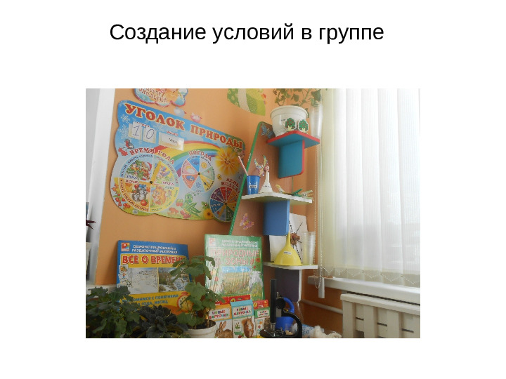 Презентация «Развитие познавательно исследовательской деятельности через организацию детского экспериментирования