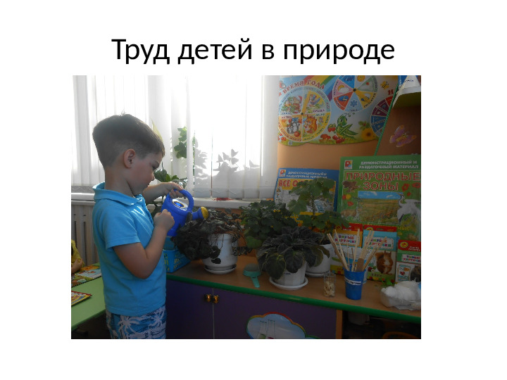 Презентация «Развитие познавательно исследовательской деятельности через организацию детского экспериментирования