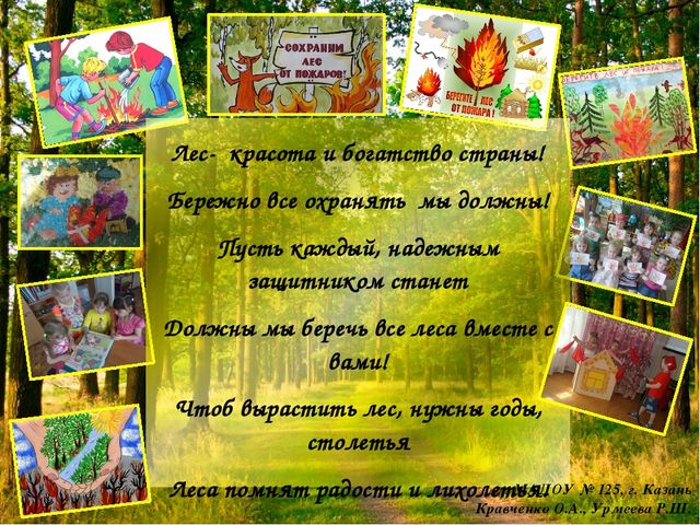 Берегите леса от пожаров!