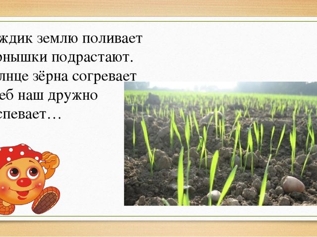 "Путешествие колобка к сахарной булочке"