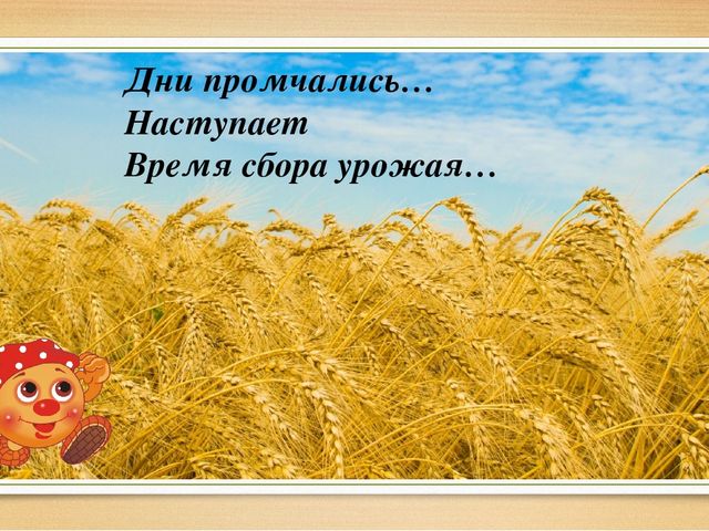 "Путешествие колобка к сахарной булочке"