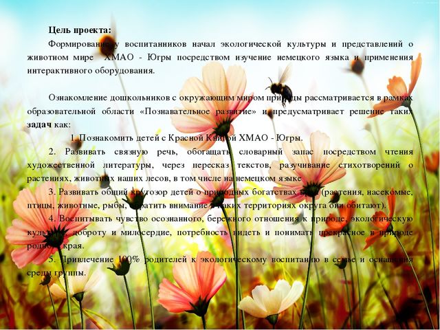 Презентация познавательно-речевого проекта "Красная Книга"