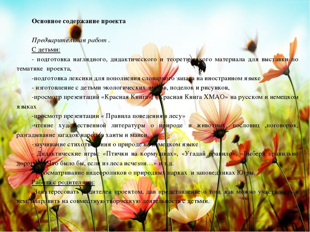Презентация познавательно-речевого проекта "Красная Книга"