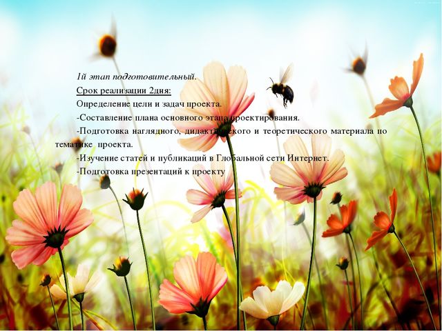Презентация познавательно-речевого проекта "Красная Книга"