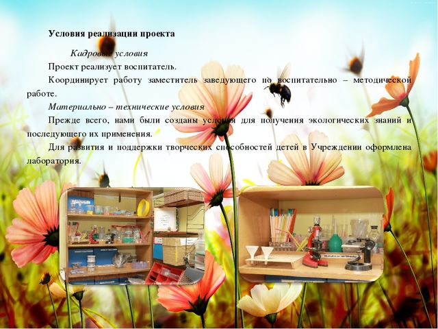 Презентация познавательно-речевого проекта "Красная Книга"