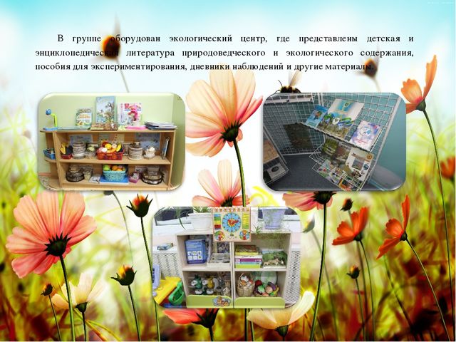 Презентация познавательно-речевого проекта "Красная Книга"