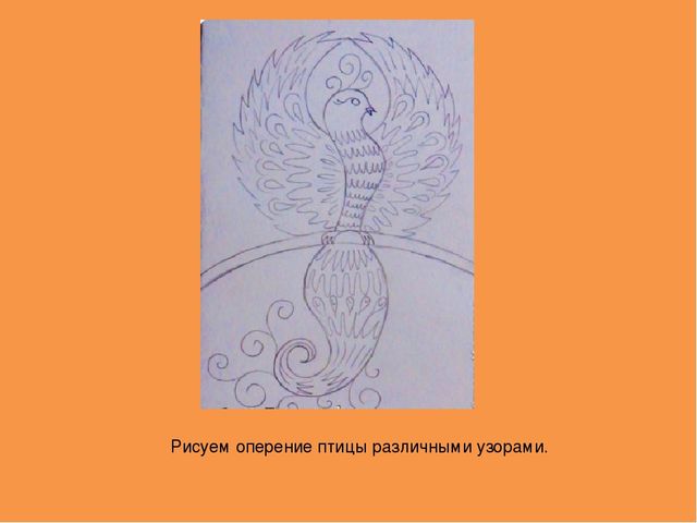 Конспект урока "Сказочная птица" для младшего школьного возраста
