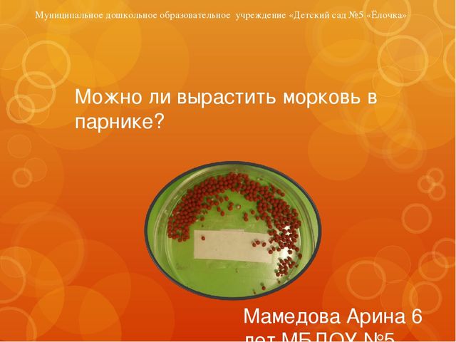Презентация исследовательская работа "Можно ли вырастить морковь в группе"