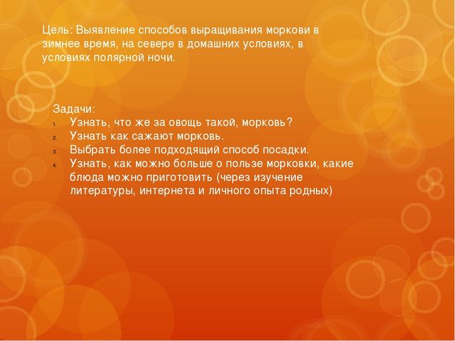 Презентация исследовательская работа "Можно ли вырастить морковь в группе"