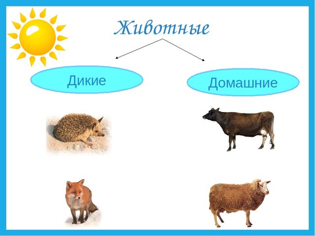 Презентация на тему "Дикие и домашние животные".