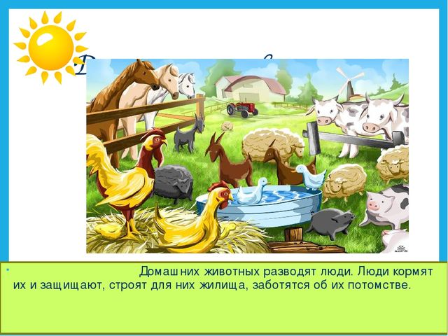 Презентация на тему "Дикие и домашние животные".