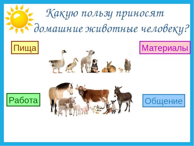 Презентация на тему "Дикие и домашние животные".