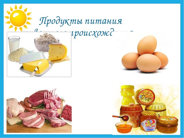 Презентация на тему "Дикие и домашние животные".